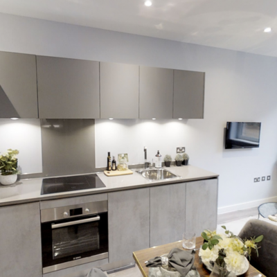 Previous Developments