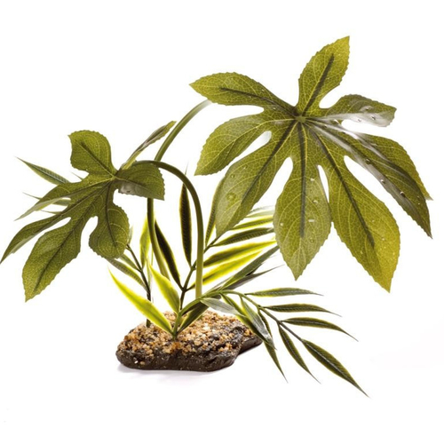 Free Standing Plants Komodo