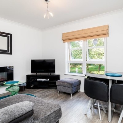 Previous Developments