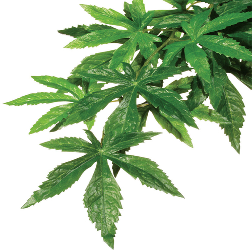 Hanging Plants Exo Terra