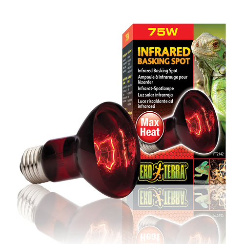 Infrared Bulbs