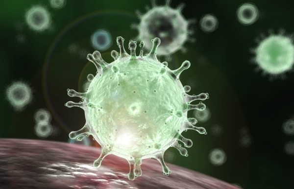 COVID-19 "Coronavirus" Business Continuity Update by Holt Energy Advisors