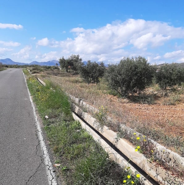 Sounds of Silence in Spain