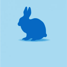 Rabbit, Small, <500g, Individual