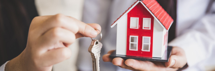 Courses For Practicing Lawyers