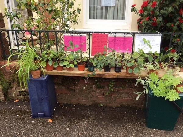 Jenny goes on giving during the pandemic