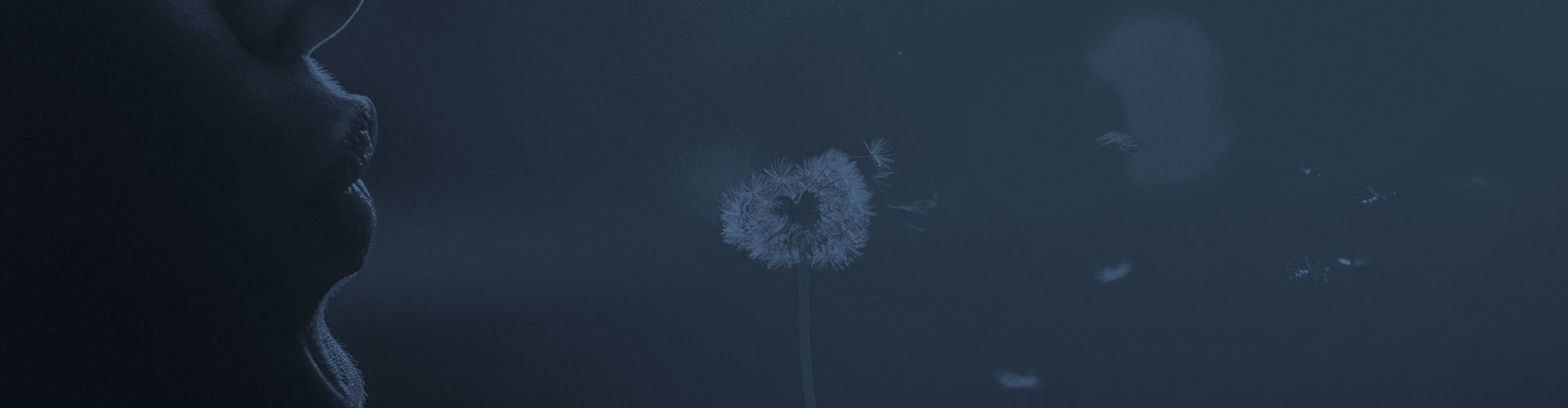 Home Physiotherapy London