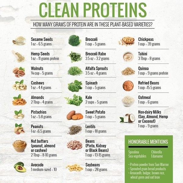 Plant based protein