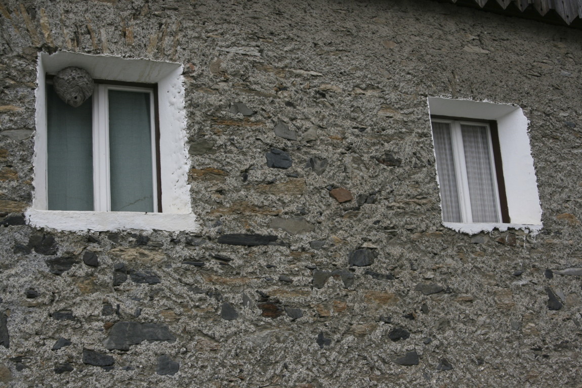 Wasp-nest-removal-Enfield