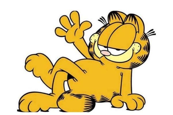 a burglar alarm with pets