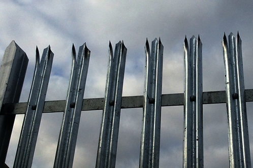 Palisade fencing (sold per M)