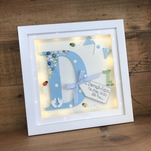 Initial Frame ( animals )