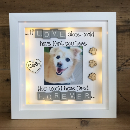 Customised Dog Memorial Photo Frame | LED Pet Memorial Picture Frame | Photo Frame with Scrabble Tiles | Customise a Frame