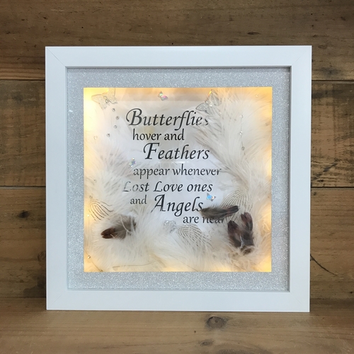 butterflies & feathers led frame