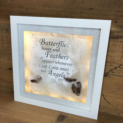 butterflies & feathers led frame