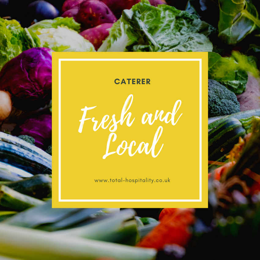 Wood Fired Pizza Oven