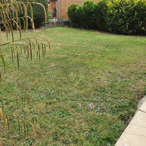 Newton Road 6 bedroom 4 bathroom contractors accommodation