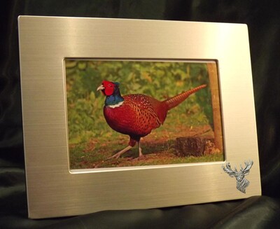 Picture/ Photo Frames