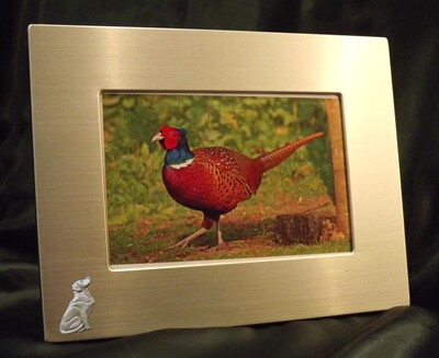 Picture/ Photo Frames