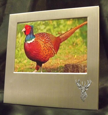 Picture/ Photo Frames