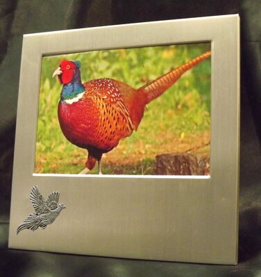 Picture/ Photo Frames