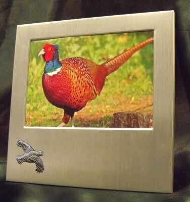 Picture/ Photo Frames