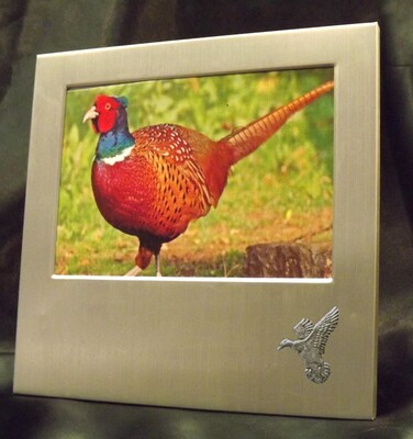 Picture/ Photo Frames