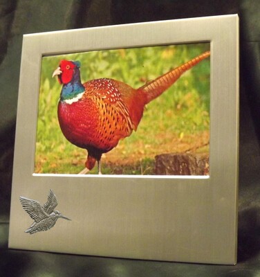 Picture/ Photo Frames