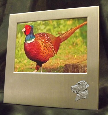 Picture/ Photo Frames