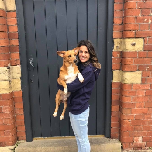 Francesca Bard DVM GPCert(SAS) MRCVS