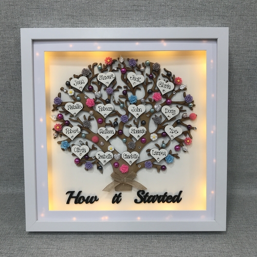 LED XL “ Floral Family Tree Frame “