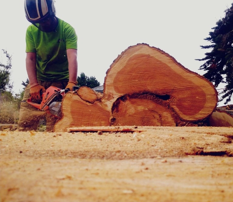 Tree Surgeon Isle of Wight