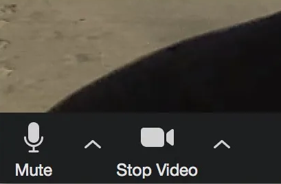 General Guidance, Security and Privacy about Cardiff Astronomical Society’s use of Zoom for the delivery of a Talk