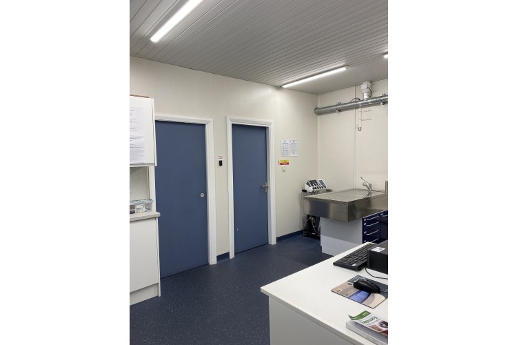 Consultations | Rose Valley Vets