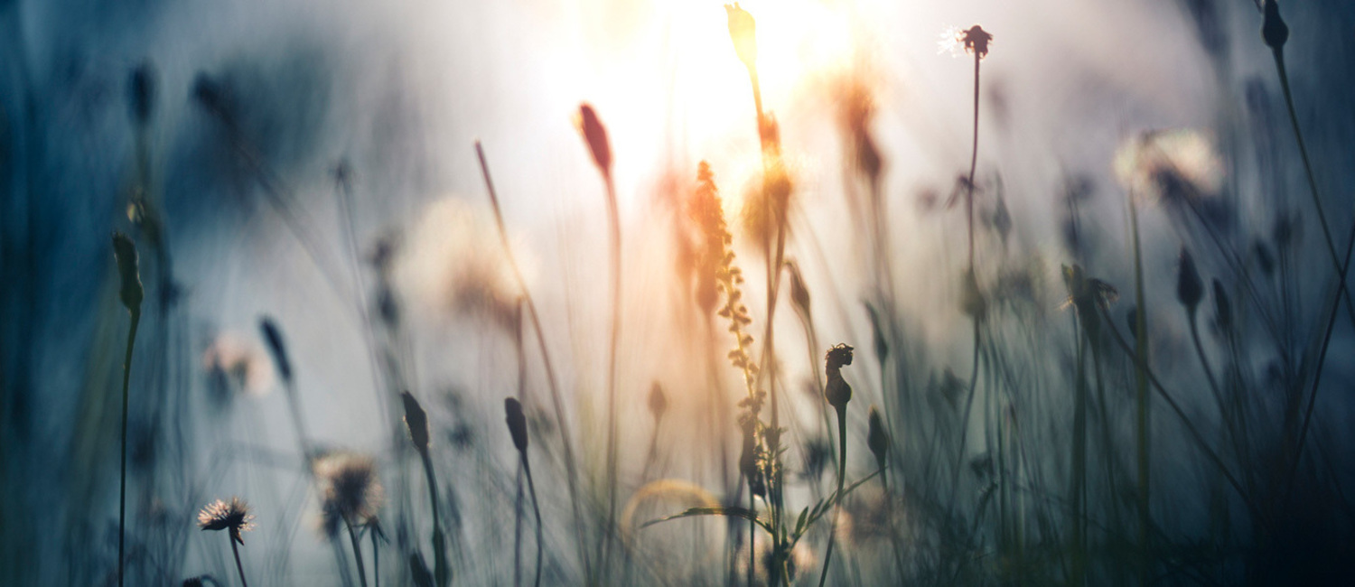 Depression Counselling Kingsbury