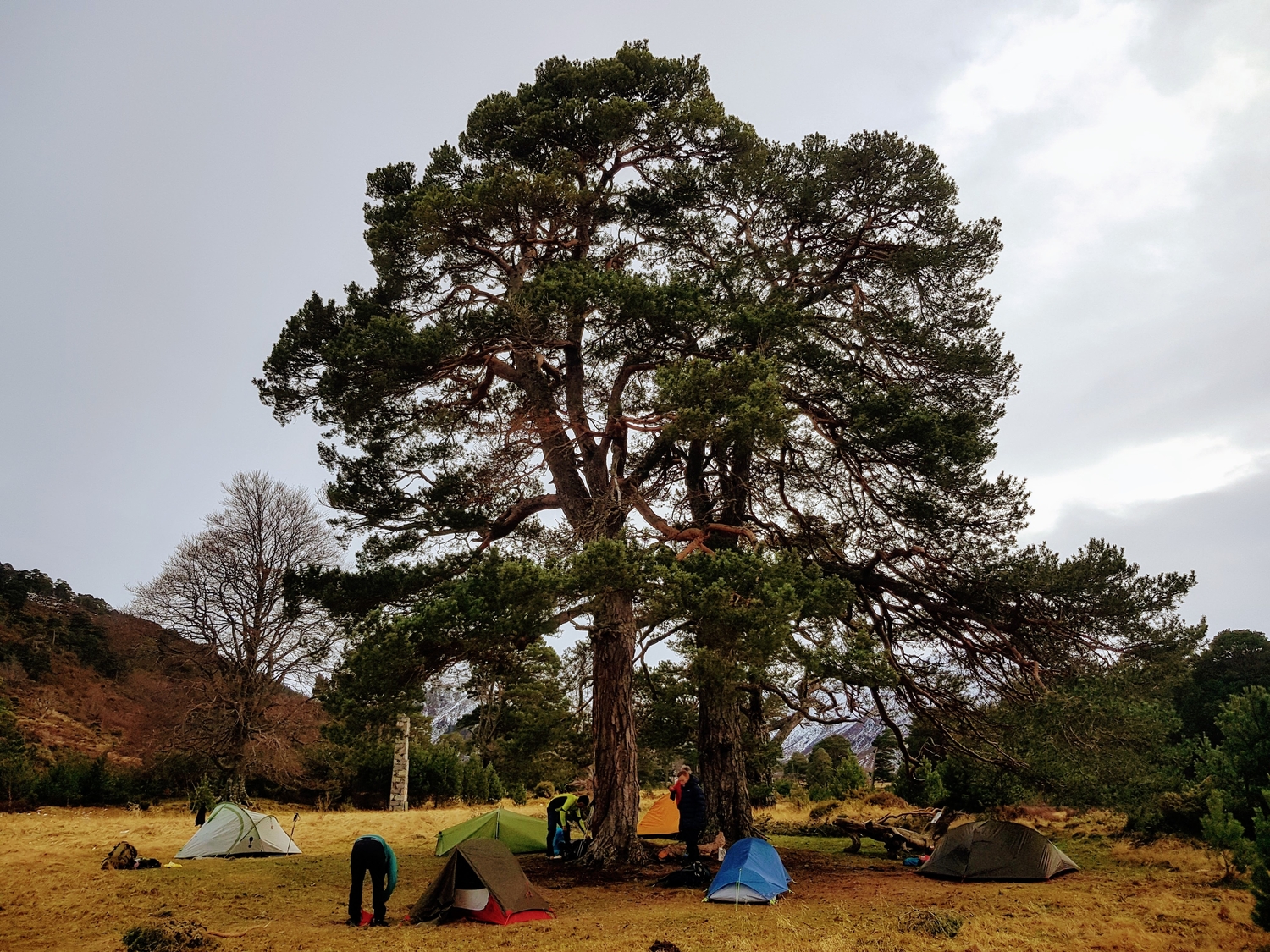 Winter in the Cairngorms - 2