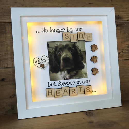 LED “ no longer by our side “ pet memorial frame