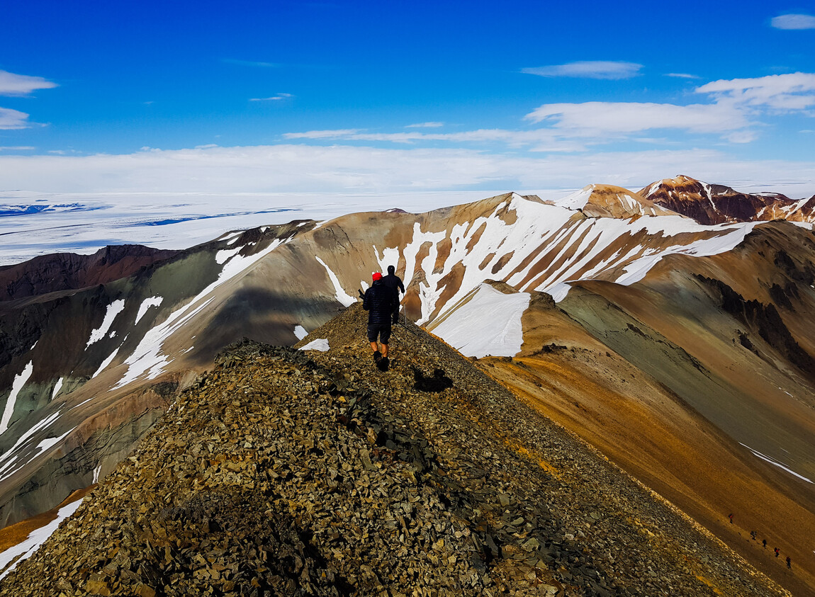 Wild Iceland - Expedition. Nupstaðarskógar
