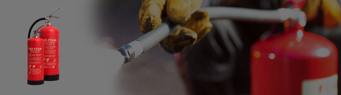 P50 Fire Extinguisher, online safety training