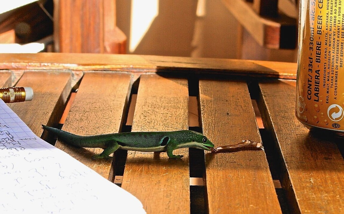 Click to view original