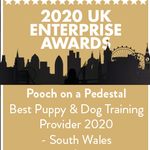 Certified Canine Behaviourist