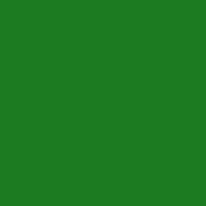 ORACAL® 451-061 - Green (Satin-Semi Gloss)