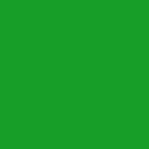 ORACAL® 451-064 - Yellow Green (Satin-Semi Gloss)