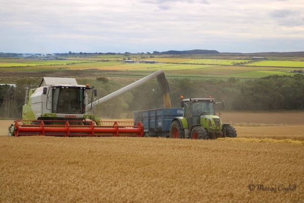 Greening Scotland 2021 - EFA still required