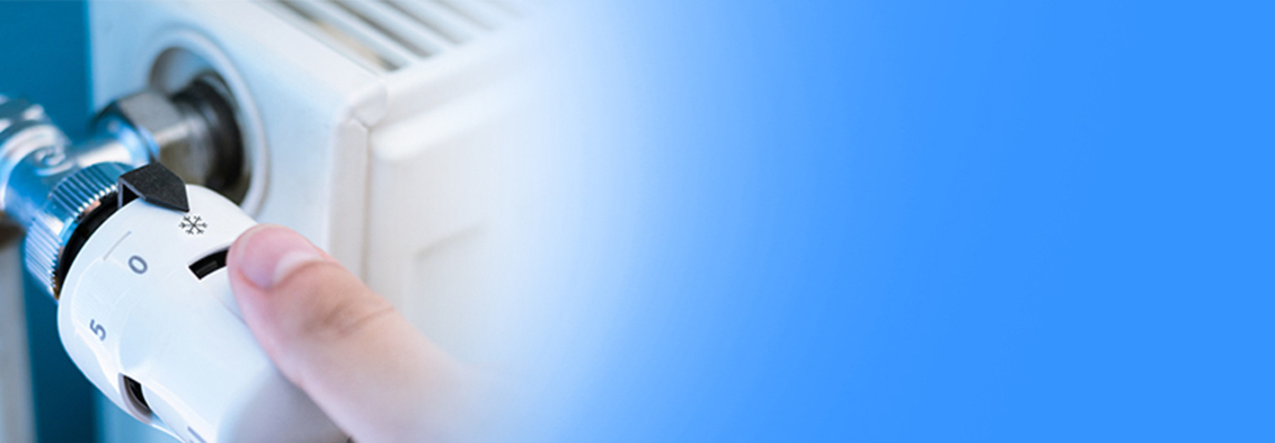 Energy Performance Inspector East London