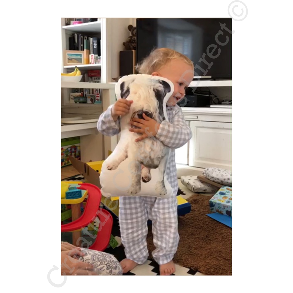 Introductory Offer Bundle - Personalised Shaped Pillow, Tote Bag & Keyring Set