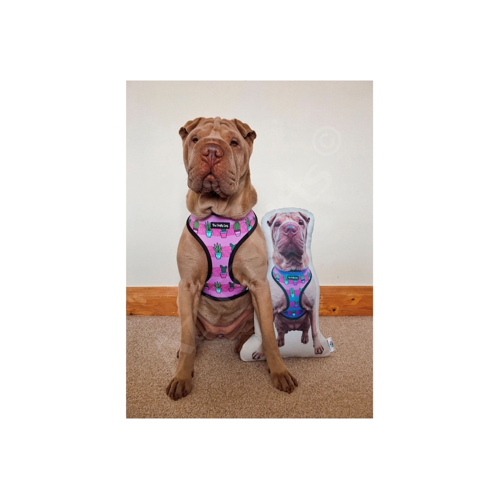 Introductory Offer Bundle - Personalised Shaped Pillow, Tote Bag & Keyring Set