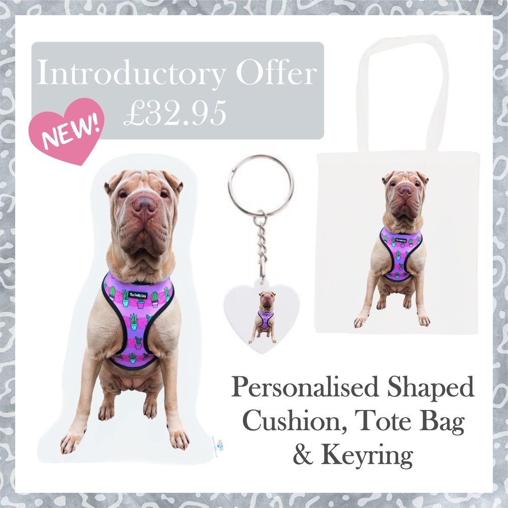 Introductory Offer Bundle - Personalised Shaped Pillow, Tote Bag & Keyring Set