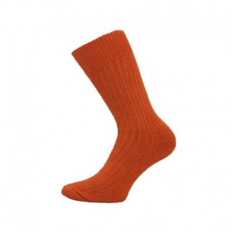 Corrymoor Companion Burnt Orange