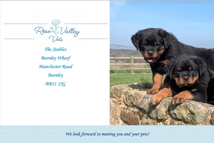 Consultations | Rose Valley Vets